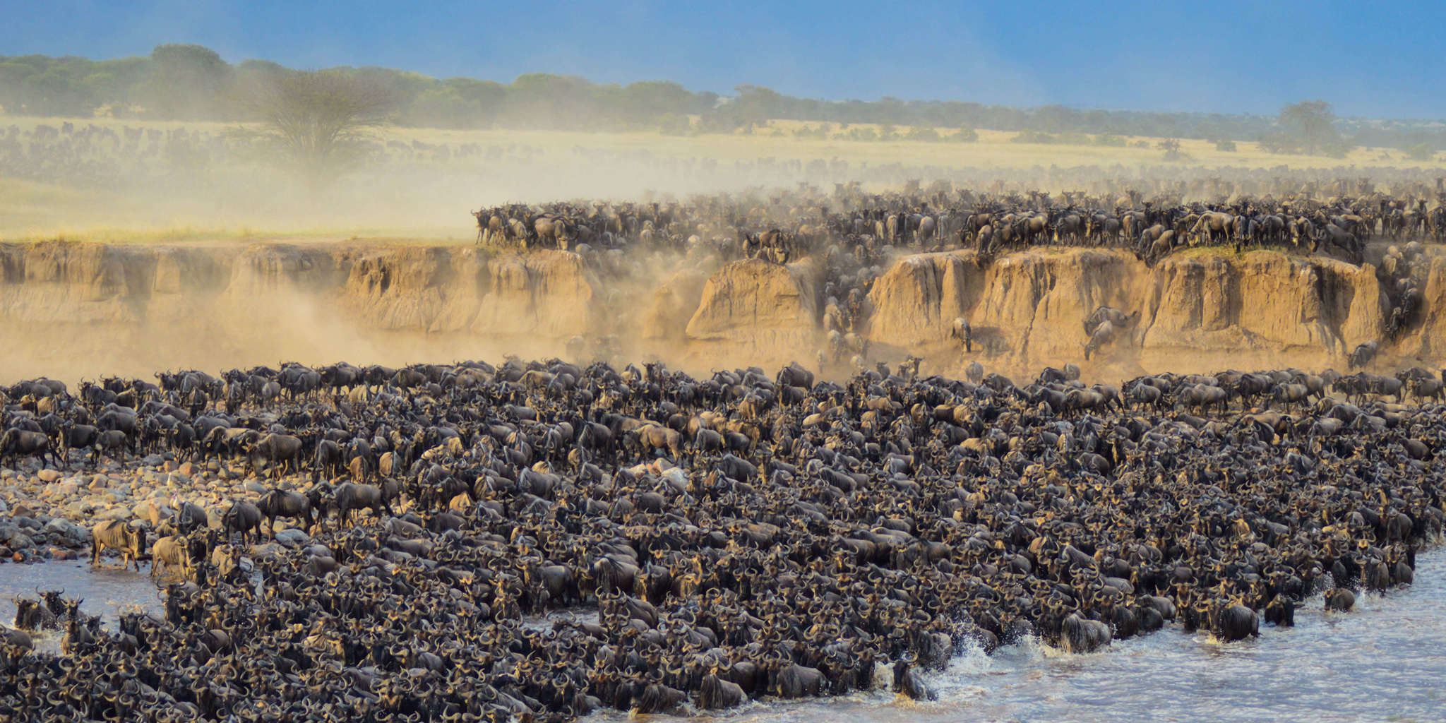 greatmigration