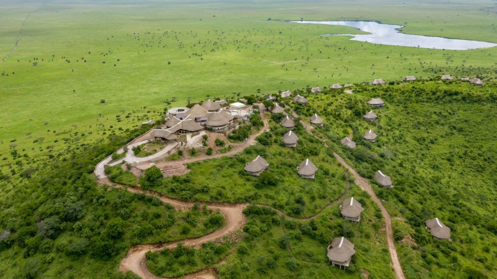 Wildebeest Migration