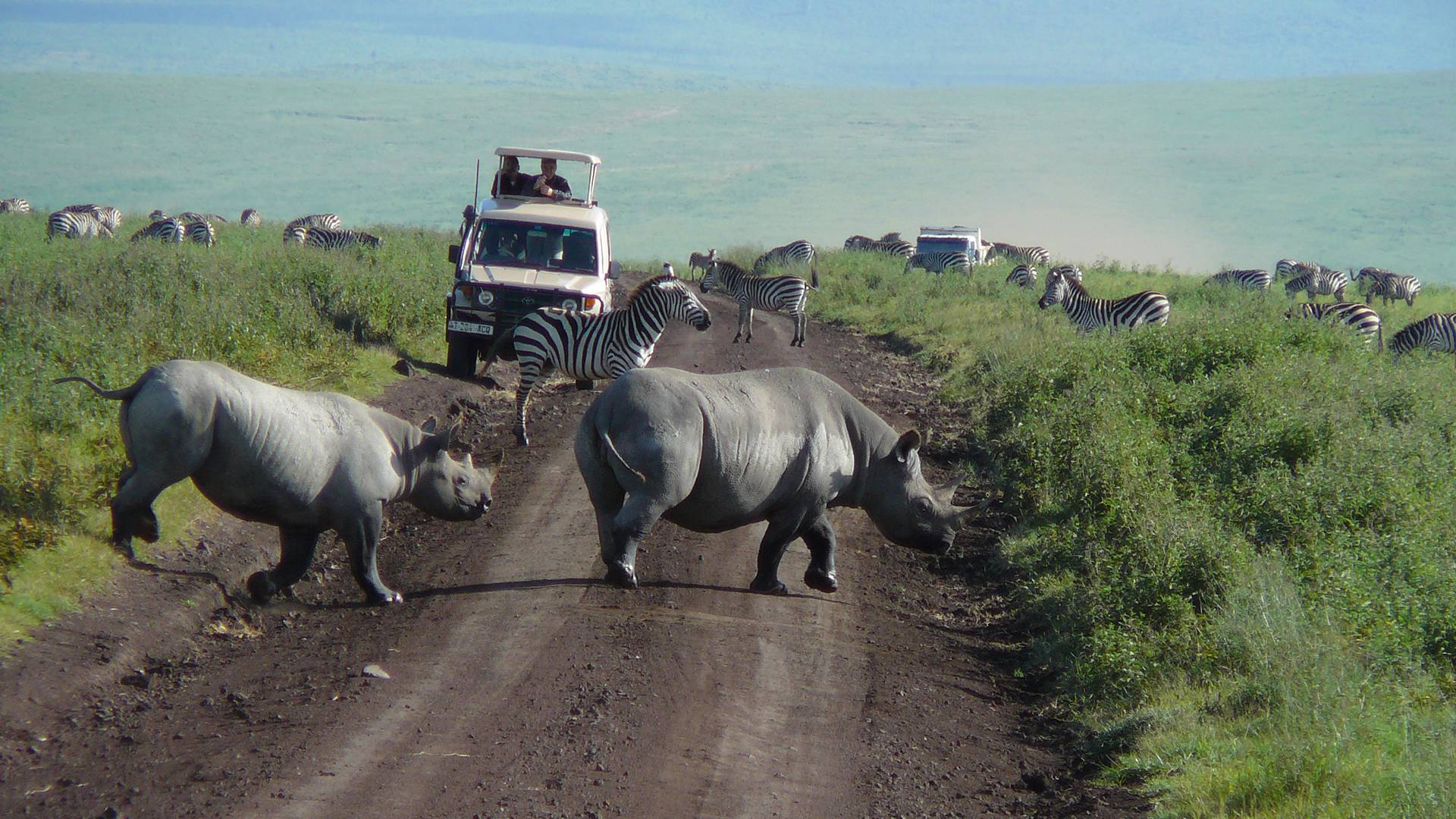 ngorongoro crater